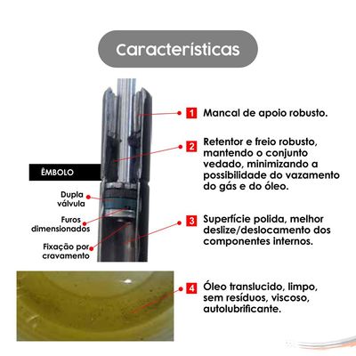 Par Amortecedores Vidro Traseiro Troller Jeep T4 01 A 14
