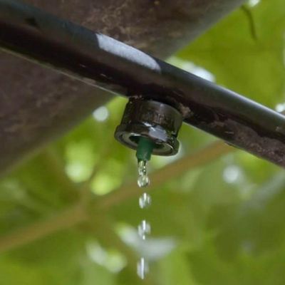 50 Bicos Gotejador Idrop 4L/H Autocompensante - Irritec