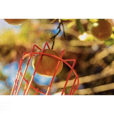 Colhedor De Frutas Médio Tramontina Em Aço Sem Cabo Tramontina