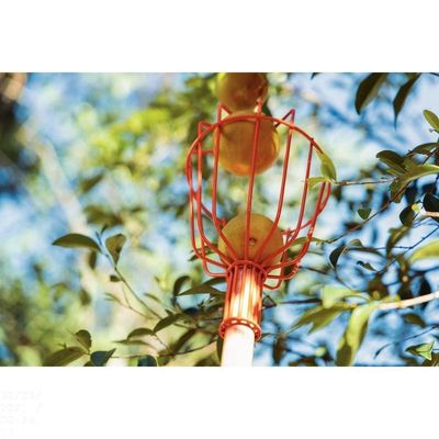 Colhedor De Frutas Médio Tramontina Em Aço Sem Cabo Tramontina