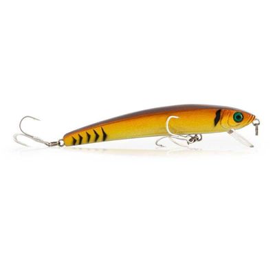 Isca Artificial Maruri Yummy 95 - 9,5cm Cor C066