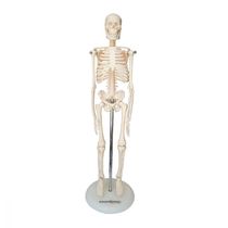 Esqueleto Humano De 45 Cm