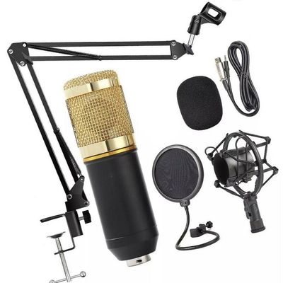 Kit Completo Microfone Bm800 com Mini Placa V8x Live Sound