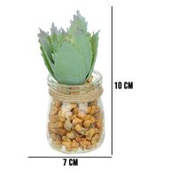 Vaso Com Suculenta Folha Alta Verde Claro 10X7 Cm - Du0027Rossi