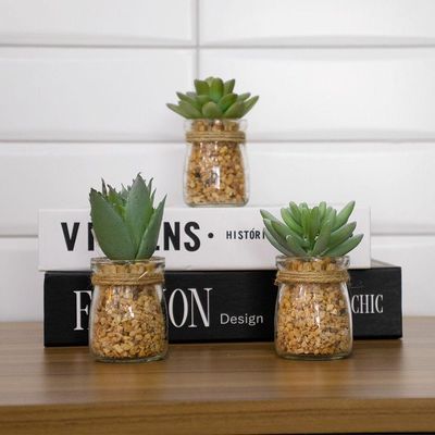 Vaso Com Suculenta Folha Alta Verde Claro 10X7 Cm - Du0027Rossi