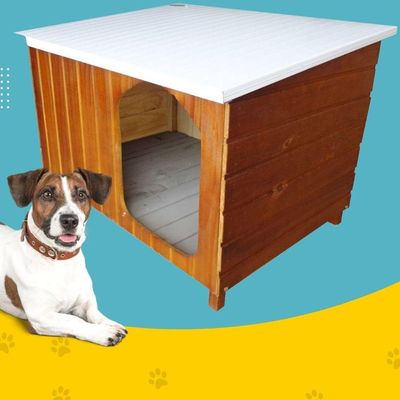 Casinha De Cachorro Criadeira Extra Gigante N 7