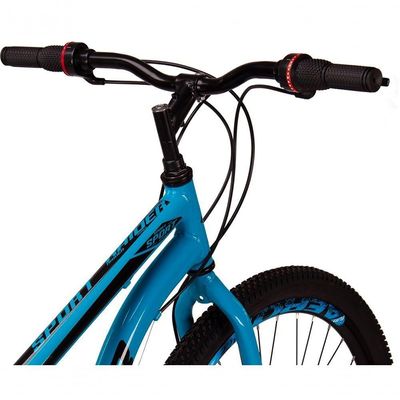 Bicicleta 29 Raider Sport Aço 21 Marchas Freio A Disco Azul+preto