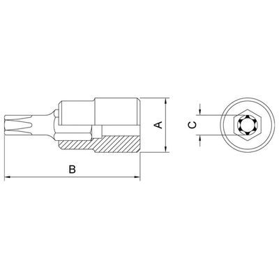 Soquete Em Aço Cromo Vanádio Ponta Trafix T20 - Encaixe 1/2" Tramontina Pro Tramontina