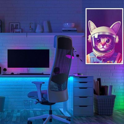 Quadro Decorativo Gato Astronauta Moldura Cx Alta 40x60 Titulo Moldura Branca