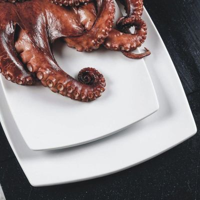 Aparelho De Jantar 30 Peças Oriental Germer