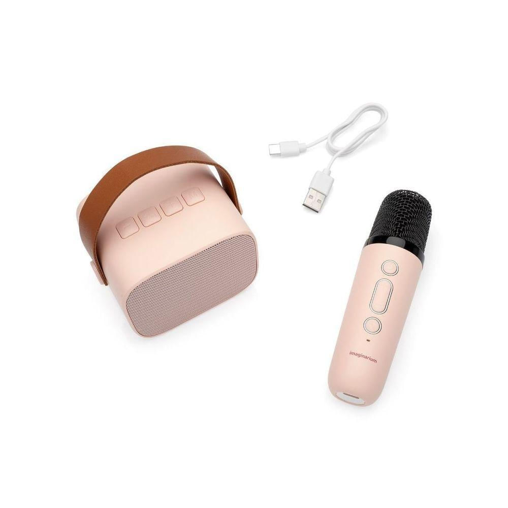 Mini Karaoke E Microfone Rosa