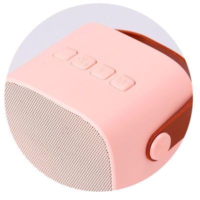Mini Karaoke E Microfone Rosa