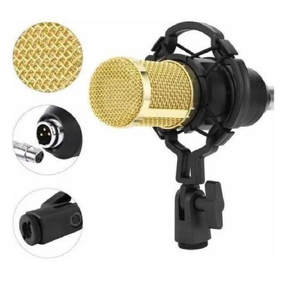 Kit Microfone Studio Gravação Bm-800 + Pop Filter + Aranha + Braço Articulado
