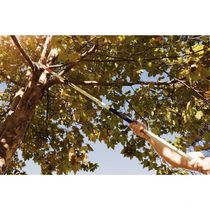 Cabo Extensível Para Serrote E Colhedor De Fruta Tramontina Em Alumínio Até 3 M Tramontina
