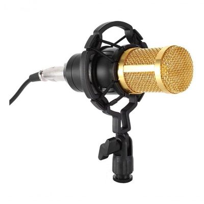 Microfone Andowl Bm-800 Condensador Unidirecional Preto/dou