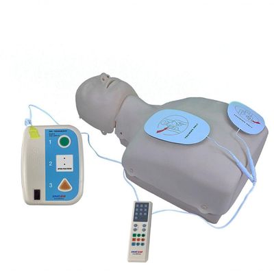 Torso De Rcp Com Simulador Dea Para Treinamento