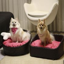 Cama Pet Chaise Redonda Fibra Sintética Alumínio Cão E Gato Trama Original Tabaco