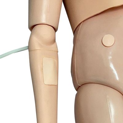 Manequim Bissexual Básico Treino De Enfermagem E Rcp