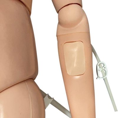 Manequim Bissexual Básico Treino De Enfermagem E Rcp