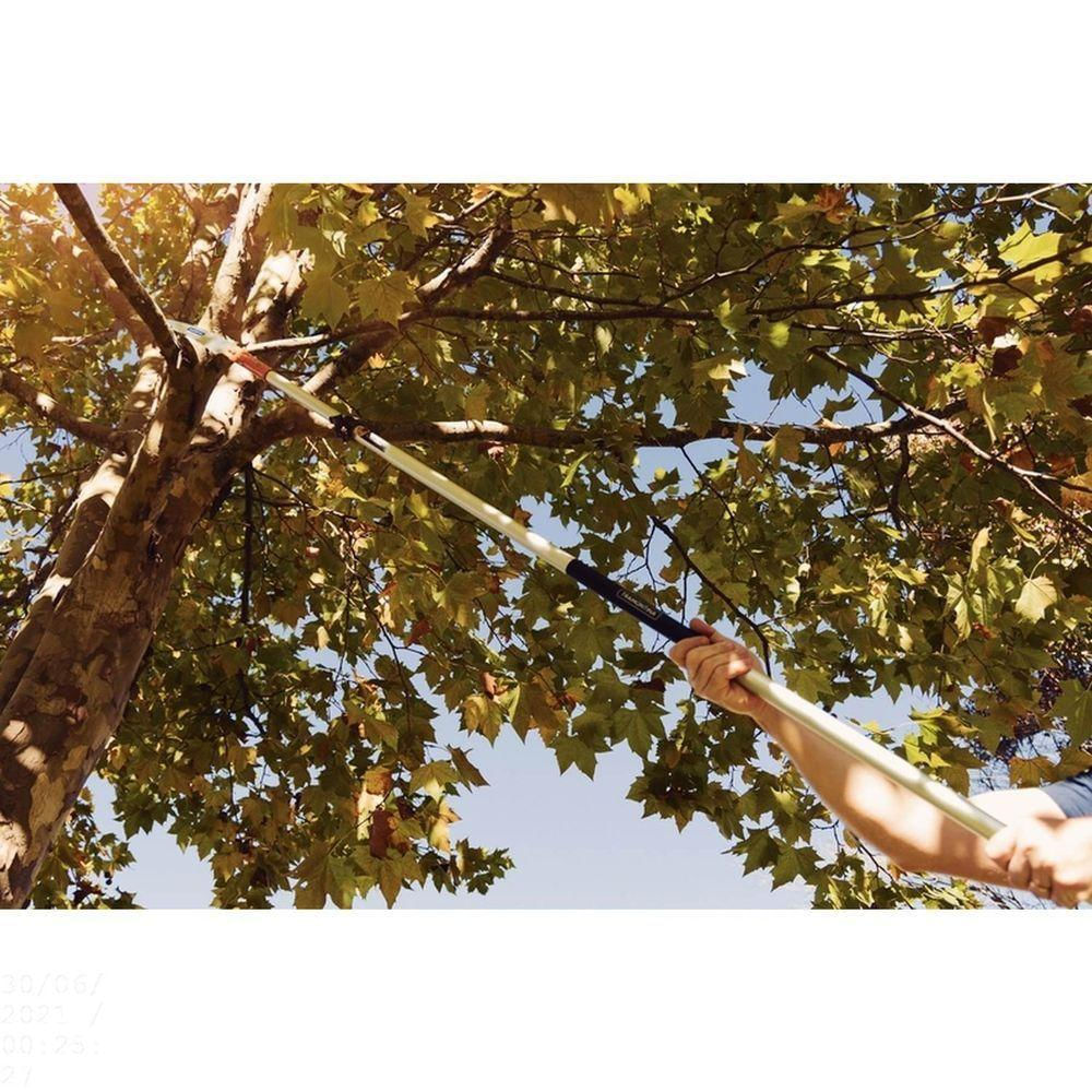 "Serrote De Poda Profissional 13"" / 330 Mm Em Aço Com Cabo Metálico Extensível 3 M"
