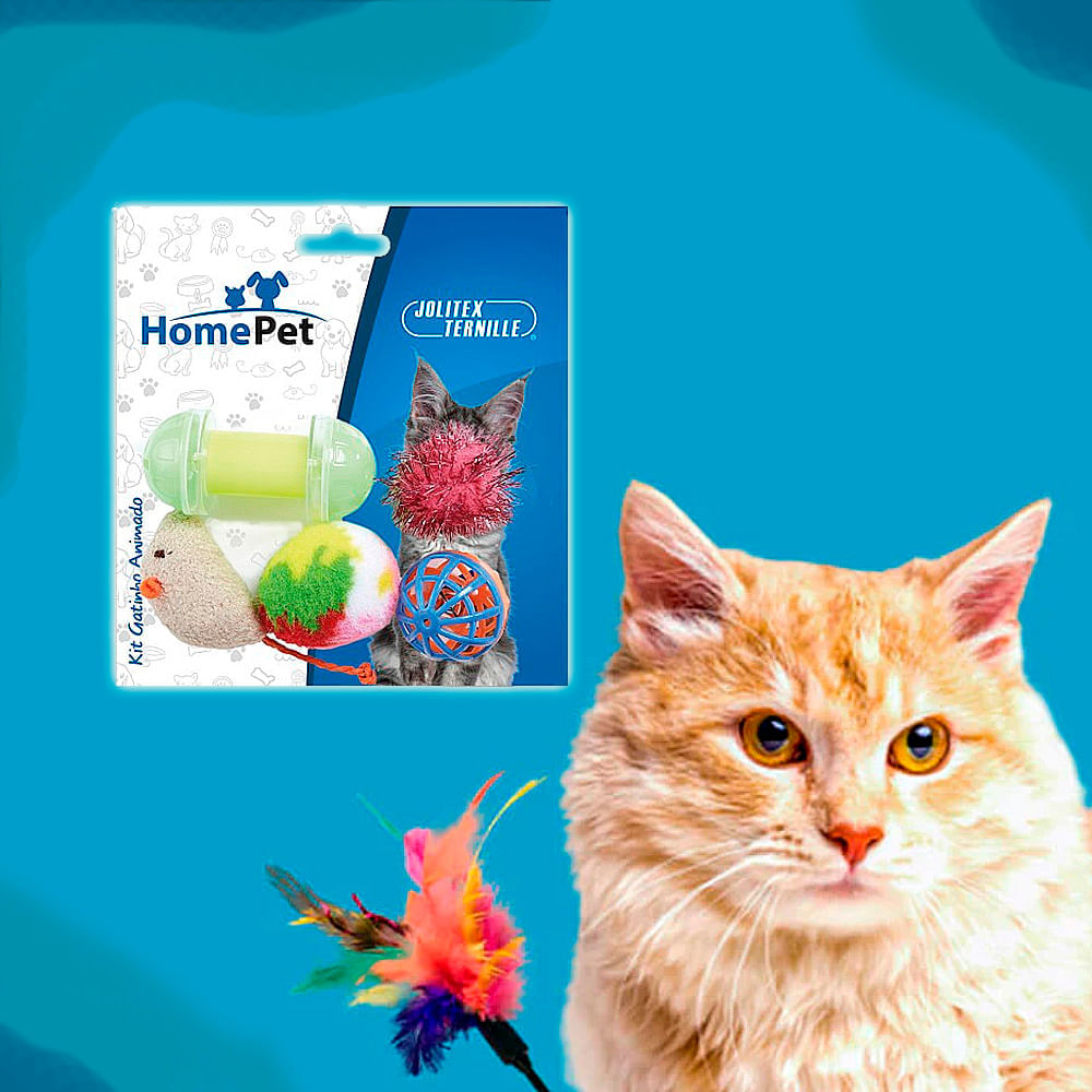 Brinquedo Kit Gatinho Animado HomePet