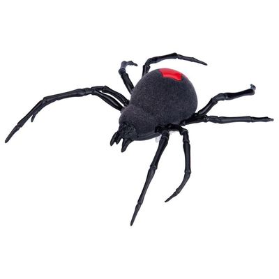 Robotic Spider
