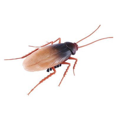 Robotic Cockroach