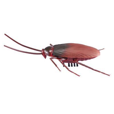 Kit Robo Alive Barata (1114) + Aranha (1115)