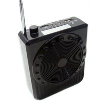 Kit Professor Megaphone C/ Microfone (Preto) .