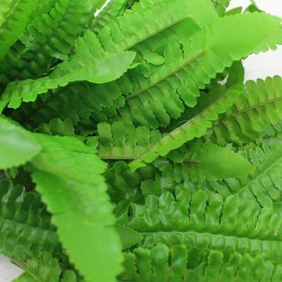 6 Ramos Decoração Arranjo Samambaia Artificial 35cm