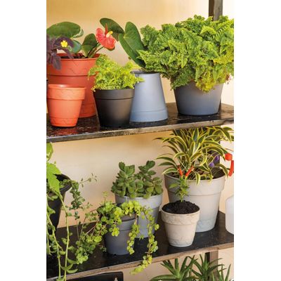 Vaso 2 em 1 13cm Cinza