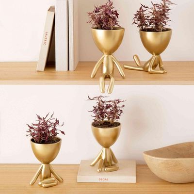 Vaso Bob Robert Planta Em Poliresina Dourado 14,5x11x10cm