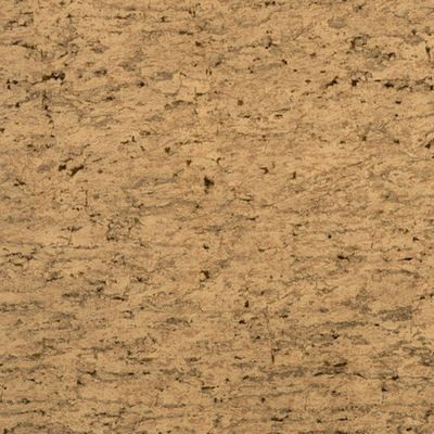 Papel de Parede Modern Rustic 120204 Vinílico - Rolo: 10m x 0,52m