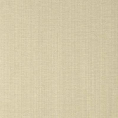 Papel de Parede Feature Wall NB530503 - Rolo: 10m x 0,53m