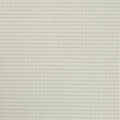 Papel de Parede Vinílico Bright Wall Y6131103