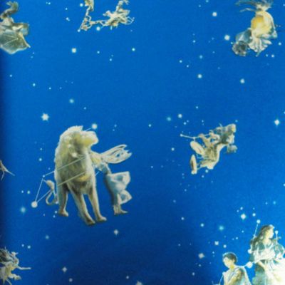 Papel de Parede Vinílico Bright Wall 683601 - Rolo: 10m x 0,53m