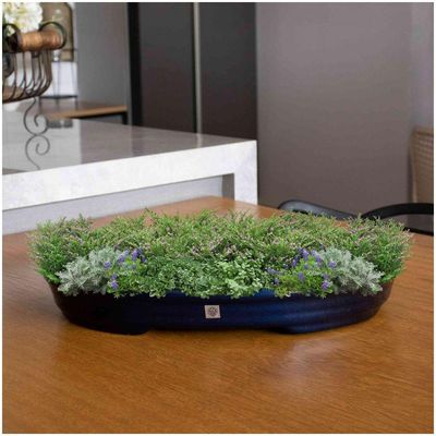 Vaso Bacia Decorativo Osaka Azul Perolizado P 7x46x35 Cm - D'rossi