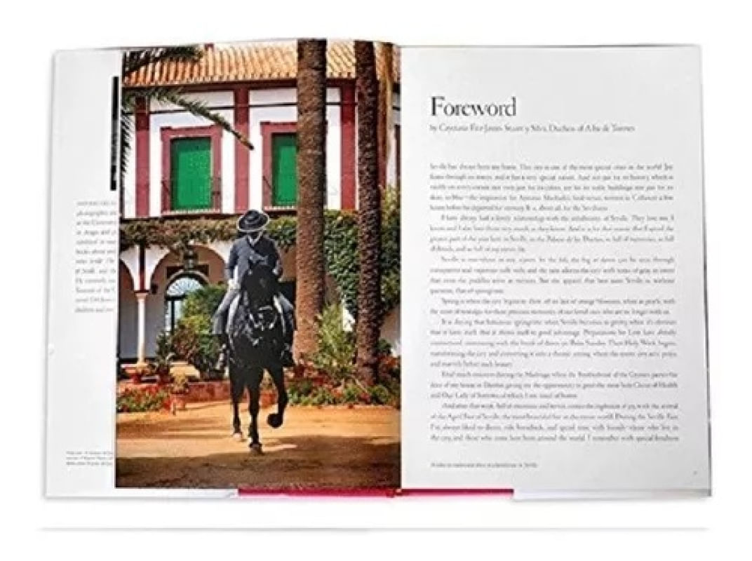 In the Spirit of Seville Antonio Del Junco Editora Assouline Importado em Inglês Capa Dura