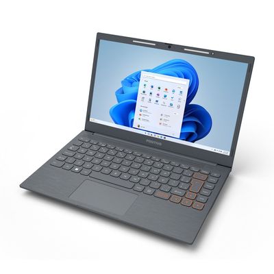 Notebook Positivo Vision 14,1 Intel Celeron Dual Core 4GB RAM 128 GB Cinza / Bivolt