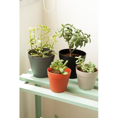 Vaso Cachepot 15cm Preto