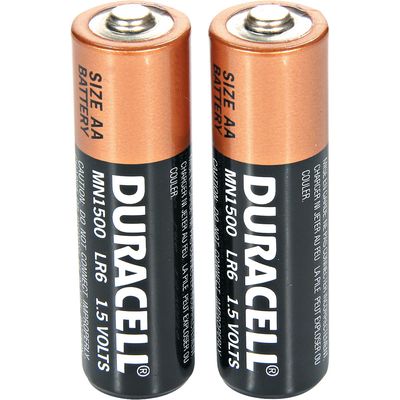 Pilha Pequena Alcalina com 2 Unidades Duracell