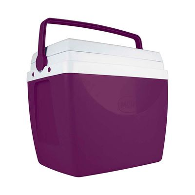 Caixa Térmica 34 Litros Açaí