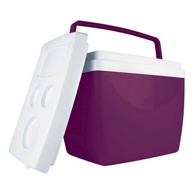 Caixa Térmica 34 Litros Açaí
