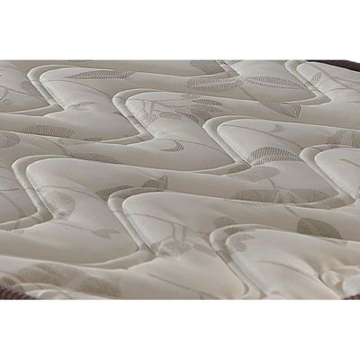 Colchão Queen Espuma D23 Pasquale Clean (158x198x14) - Paropas