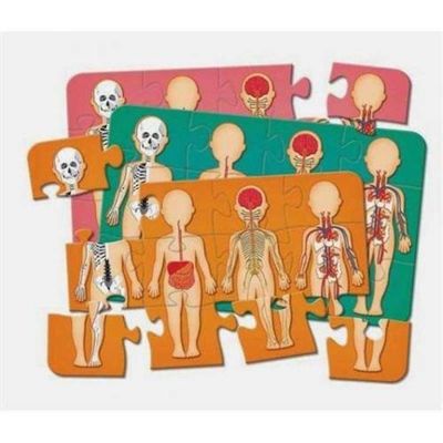 Jogo Corpo Humano - Pais E Filhos