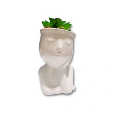 Vaso Rosto De Cerâmica Com Suculenta
