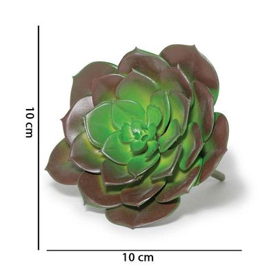Suculenta Permanente 10 X 10cm