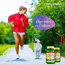 Kit 04 Cloreto De Magnésio P A Maxinutri 500mg 60 Cápsulas