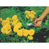 Tesoura para Poda Profissional 78304/511 Tramontina