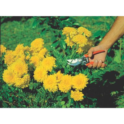 Tesoura para Poda Profissional 78304/511 Tramontina